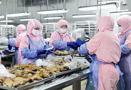 山東濰坊樂港食品股份出口創(chuàng)紀(jì)錄 散裝食品撬動(dòng)4680萬美元市場